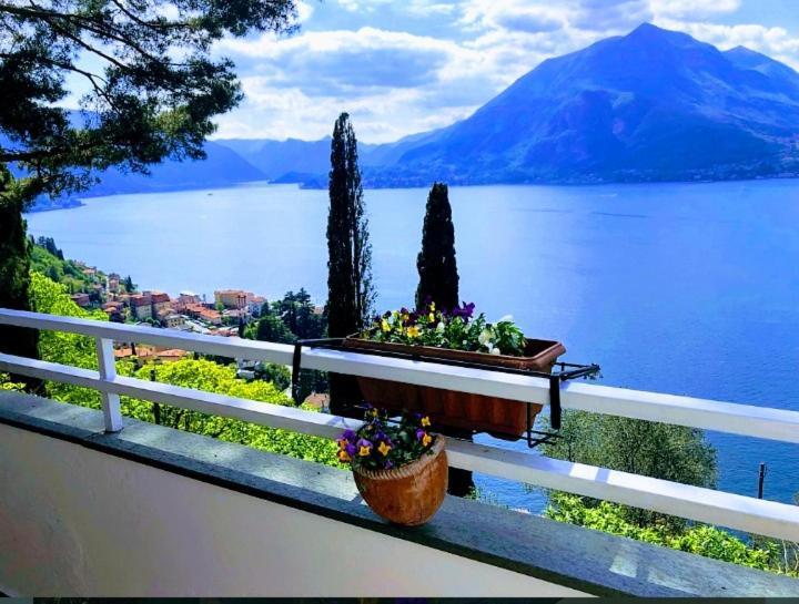 Varenna Wonders, Villa With Pool For 14 Guests 佩尔莱多 外观 照片